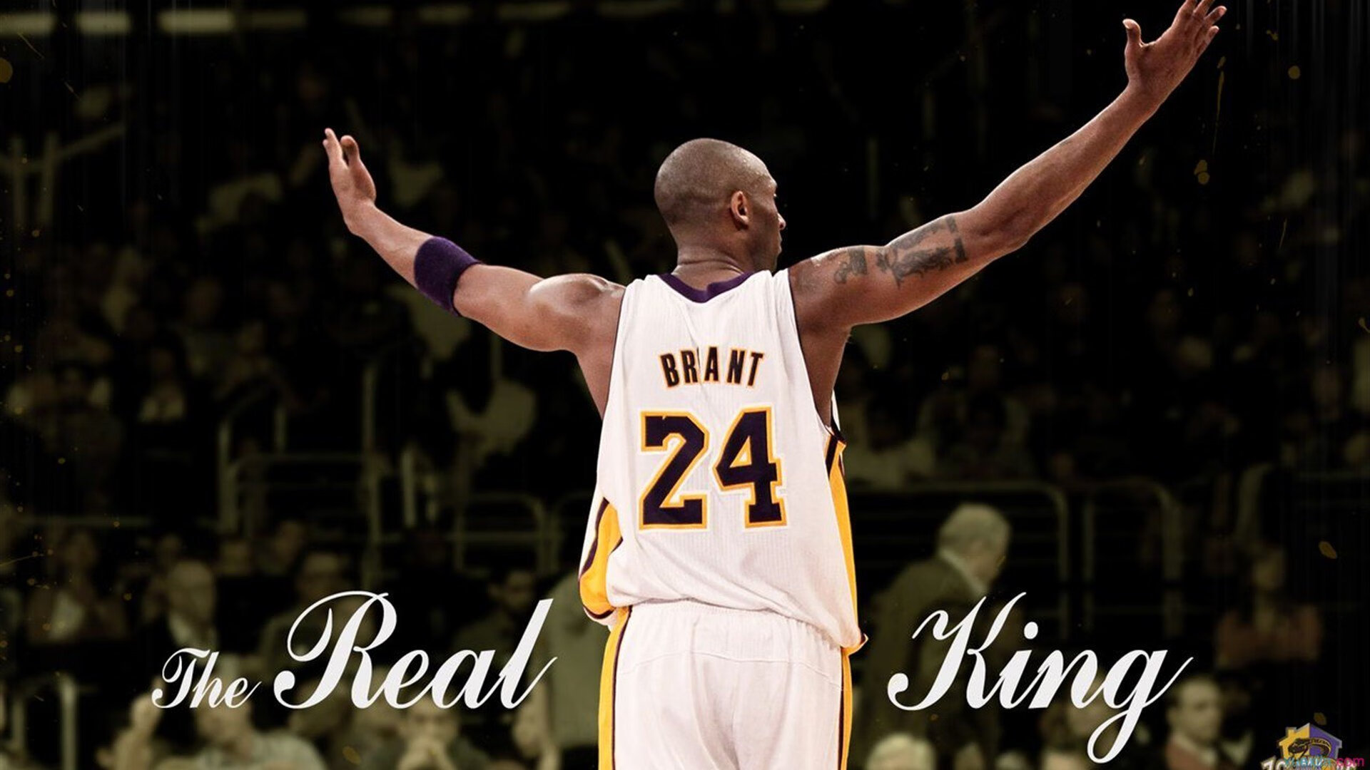 城市夜间篮球赛成为新时尚，展现年轻活力与城市魅力，关于夜间篮球场的环境描写